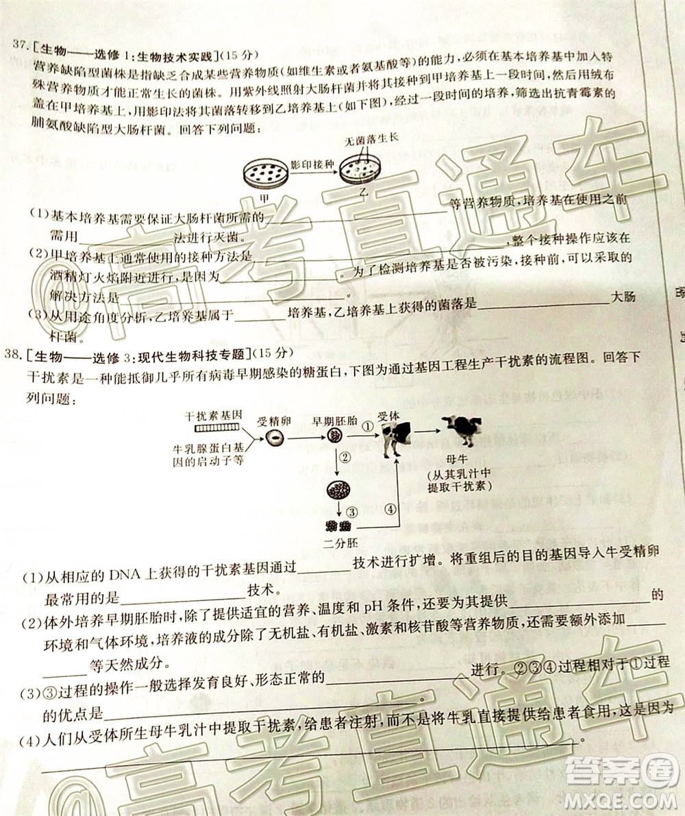 2021屆貴州金太陽(yáng)高三12月聯(lián)考理科綜合試題及答案