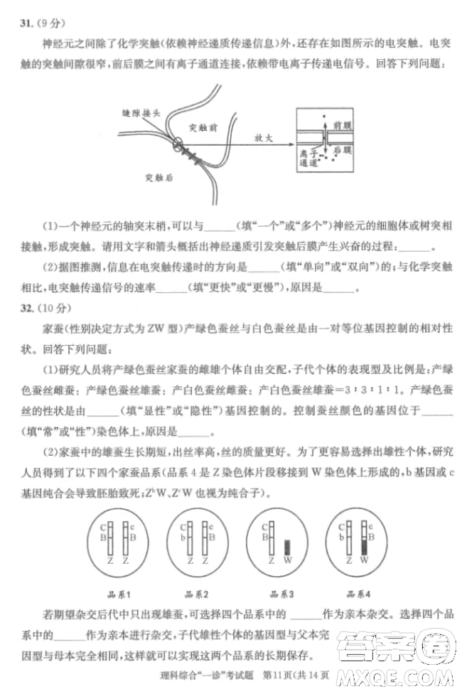 成都市2018級高中畢業(yè)班第一次診斷性檢測理科綜合試題及答案