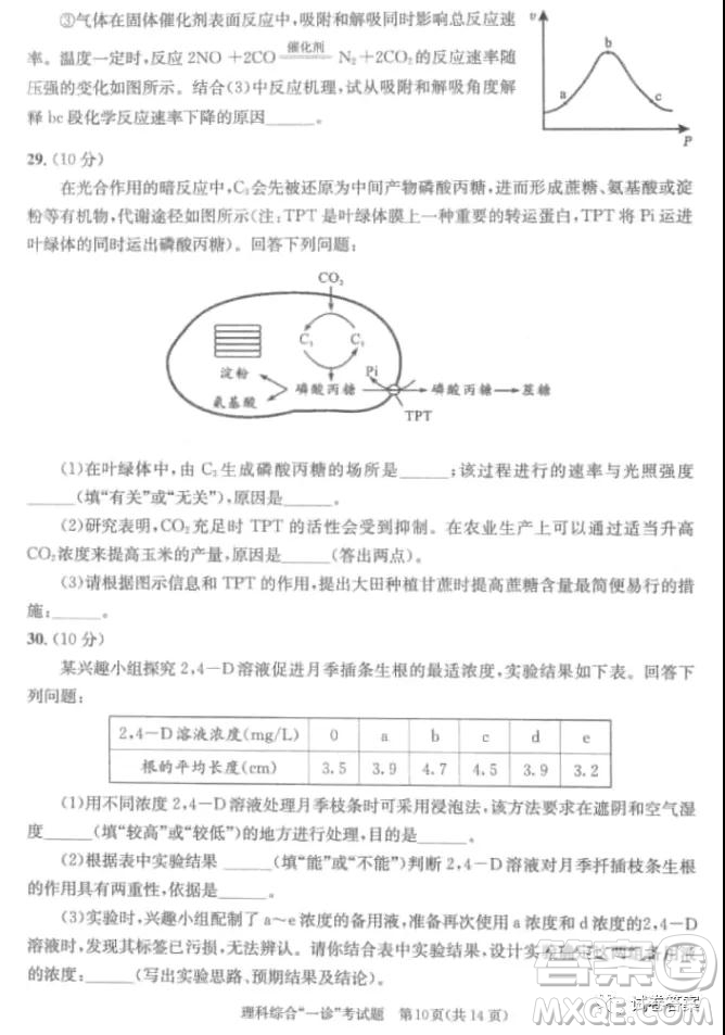 成都市2018級高中畢業(yè)班第一次診斷性檢測理科綜合試題及答案