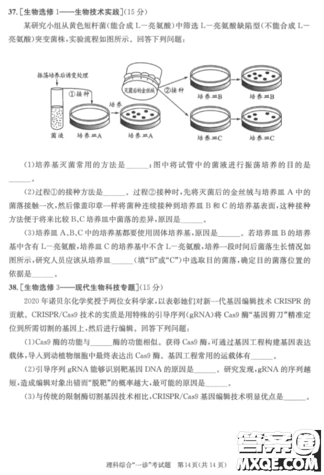 成都市2018級高中畢業(yè)班第一次診斷性檢測理科綜合試題及答案