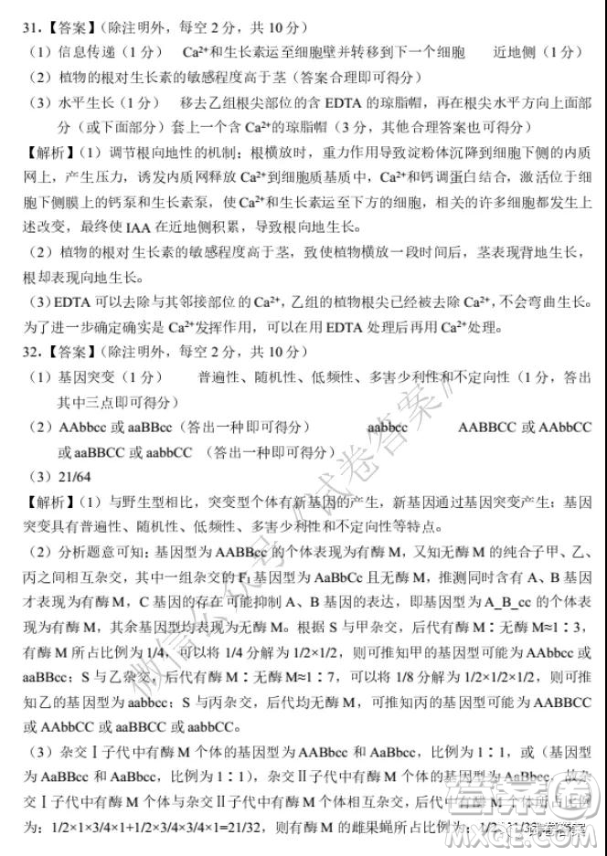 中原名校2020-2021學(xué)年上期第四次精英聯(lián)賽理科綜合試題及答案