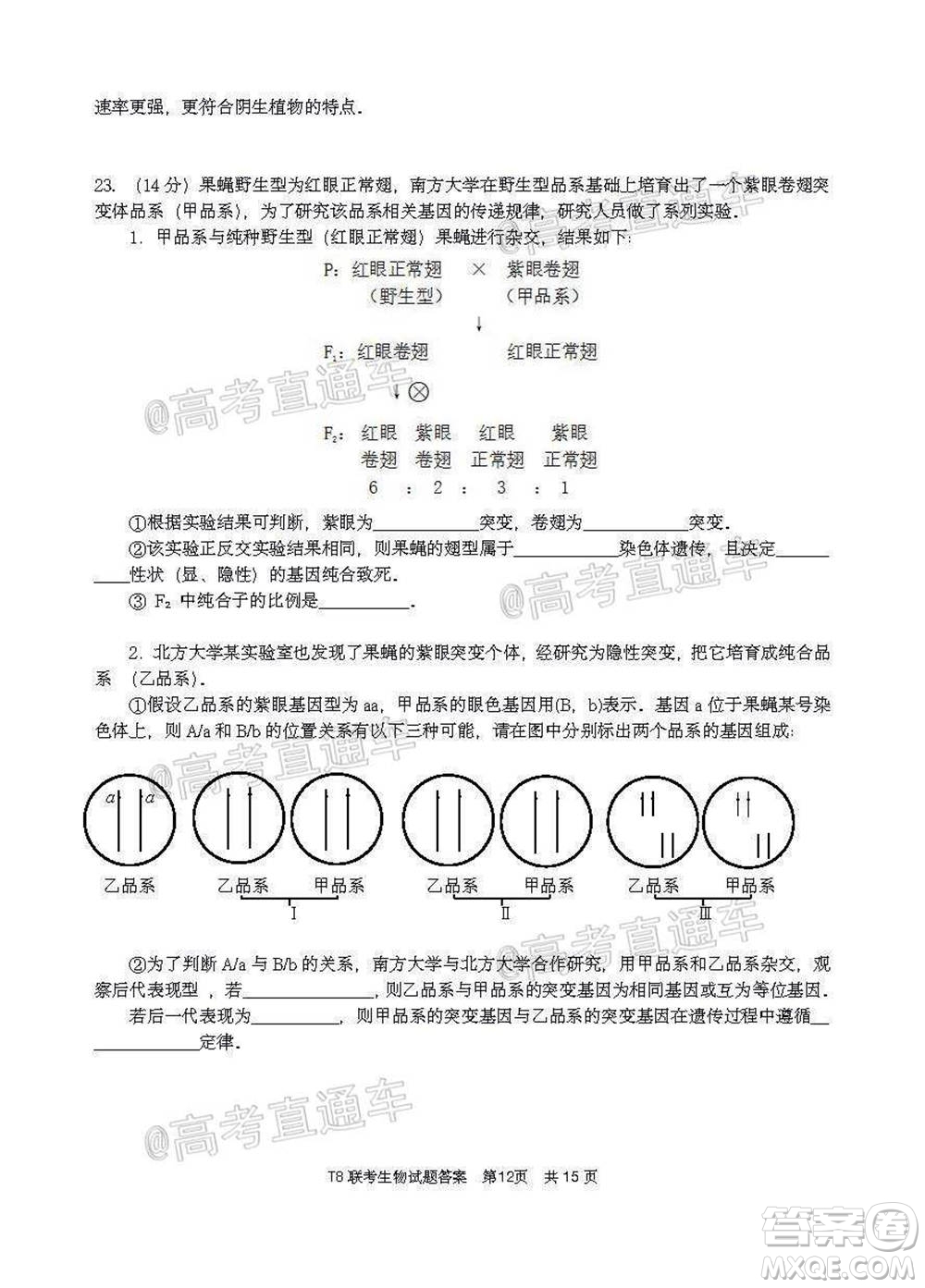 T8聯(lián)考新八校2021屆高三第一次聯(lián)考生物試題及答案