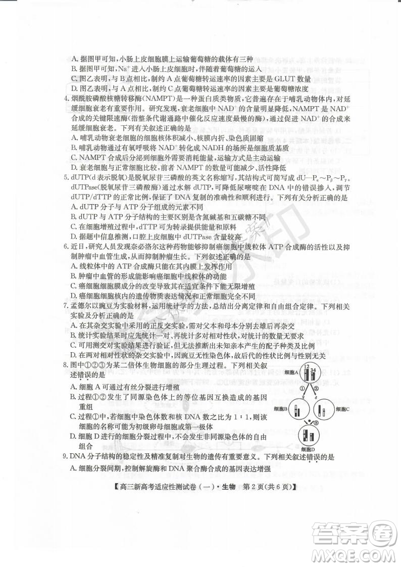 2021屆八省聯(lián)盟湖北新高考適應(yīng)性測(cè)試卷一生物試題及答案