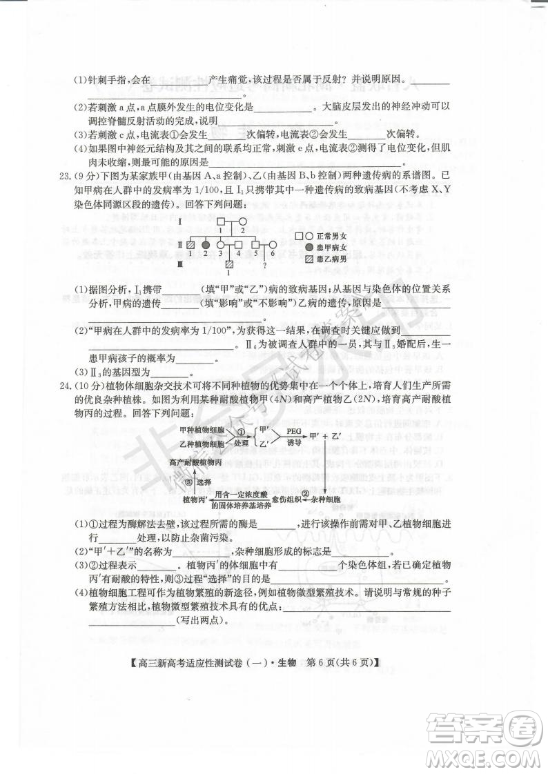 2021屆八省聯(lián)盟湖北新高考適應(yīng)性測(cè)試卷一生物試題及答案