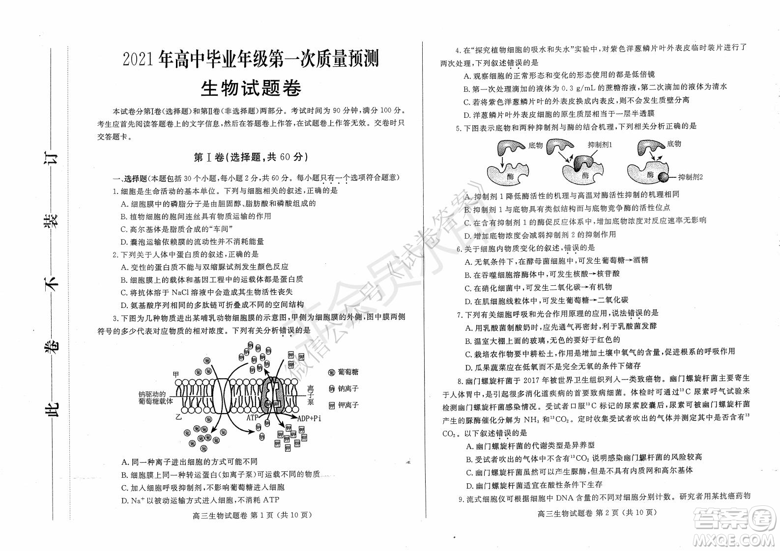 鄭州2021年高中畢業(yè)年級第一次質(zhì)量預測生物試題及答案