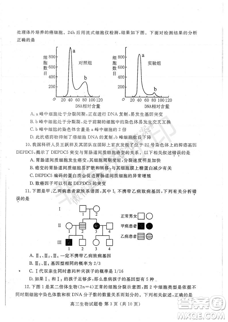 鄭州2021年高中畢業(yè)年級第一次質(zhì)量預測生物試題及答案