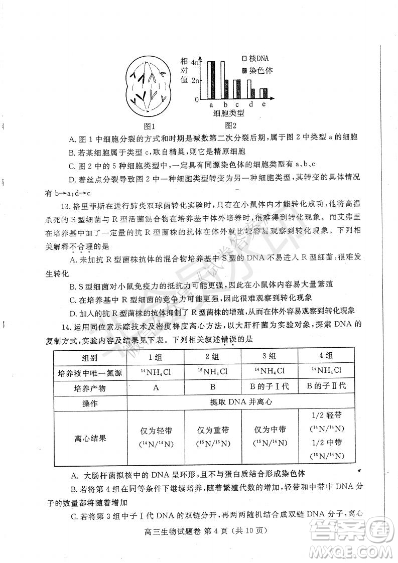 鄭州2021年高中畢業(yè)年級第一次質(zhì)量預測生物試題及答案