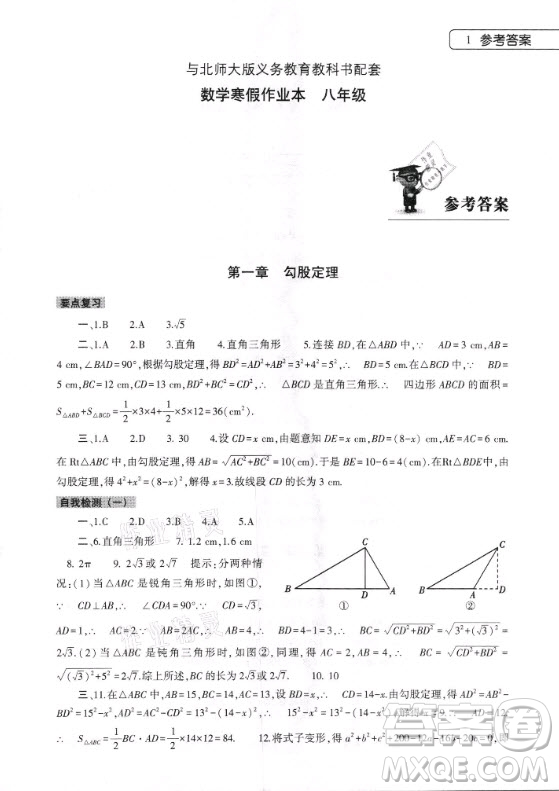 大象出版社2021數(shù)學(xué)寒假作業(yè)本八年級(jí)北師大版答案