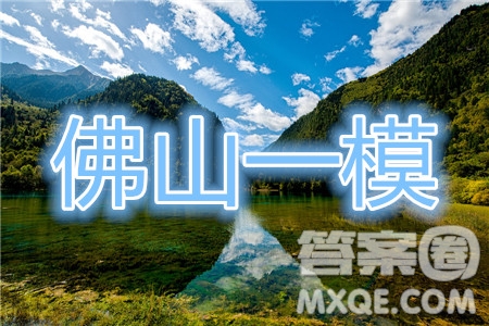 2020-2021學(xué)年佛山市普通高中高三教學(xué)質(zhì)量檢測物理試題及答案