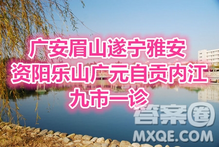 2021屆廣安眉山遂寧雅安資陽樂山廣元自貢內(nèi)江九市一診數(shù)學(xué)理工類試題及答案