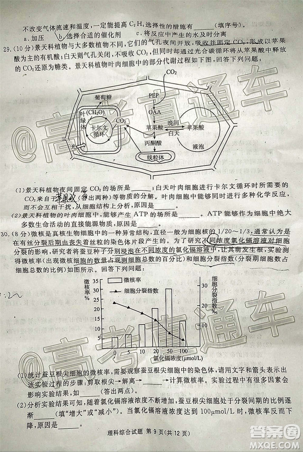 2021屆廣安眉山遂寧雅安資陽(yáng)樂(lè)山廣元自貢內(nèi)江九市一診理科綜合試題及答案