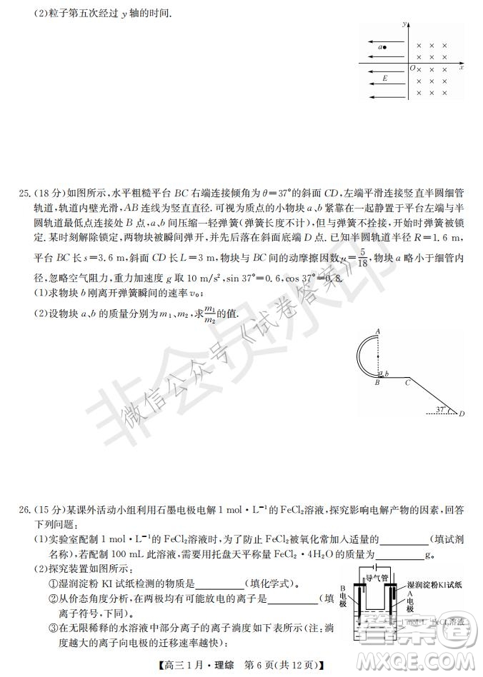 2021屆九師聯(lián)盟高三1月聯(lián)考理科綜合試題及答案