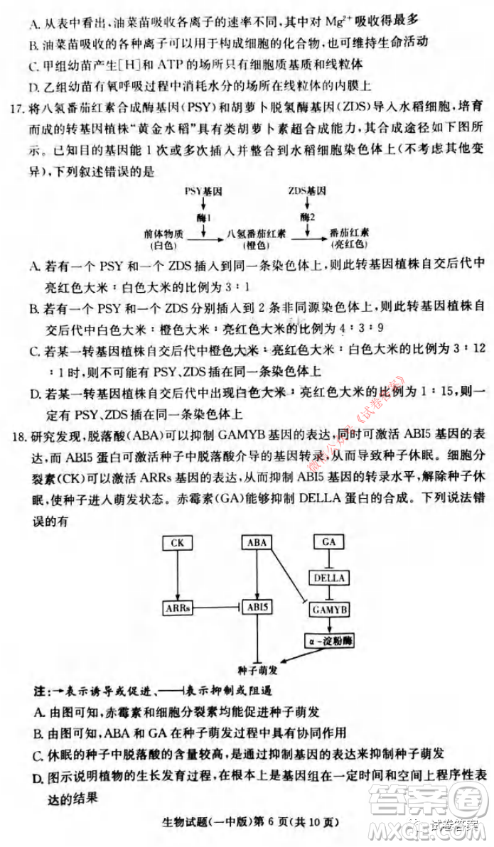 炎德英才大聯(lián)考長(zhǎng)沙市一中2021屆高三月考試卷六生物試題及答案