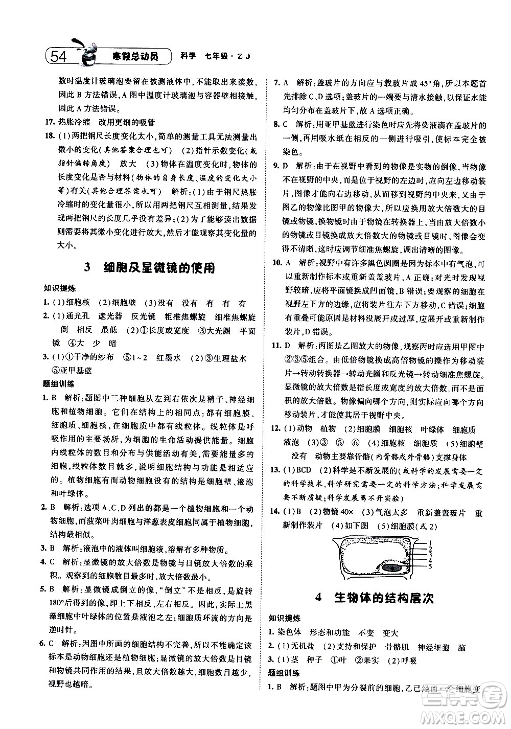 2021年經(jīng)綸學(xué)典寒假總動(dòng)員七年級(jí)科學(xué)ZJ浙教版答案