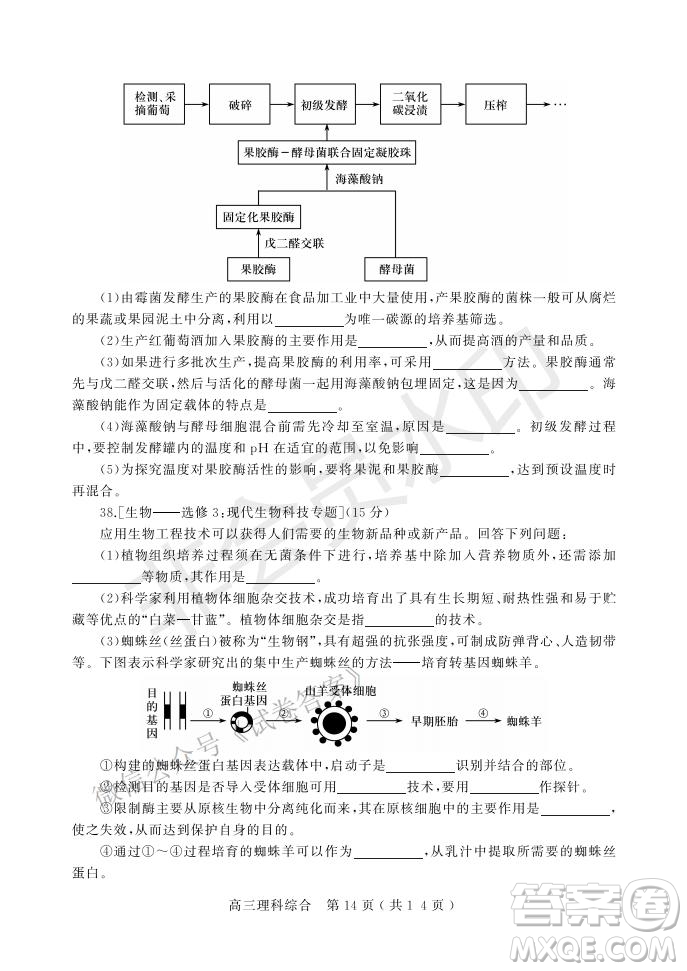 許昌濟源平頂山2021年高三第一次質(zhì)量檢測理科綜合試題及答案