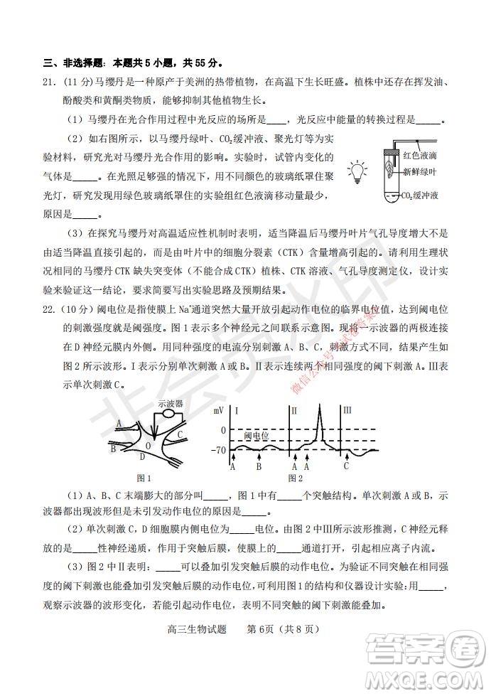 煙臺(tái)2020-2021學(xué)年度第一學(xué)期期末學(xué)業(yè)水平診斷高三生物試題及答案