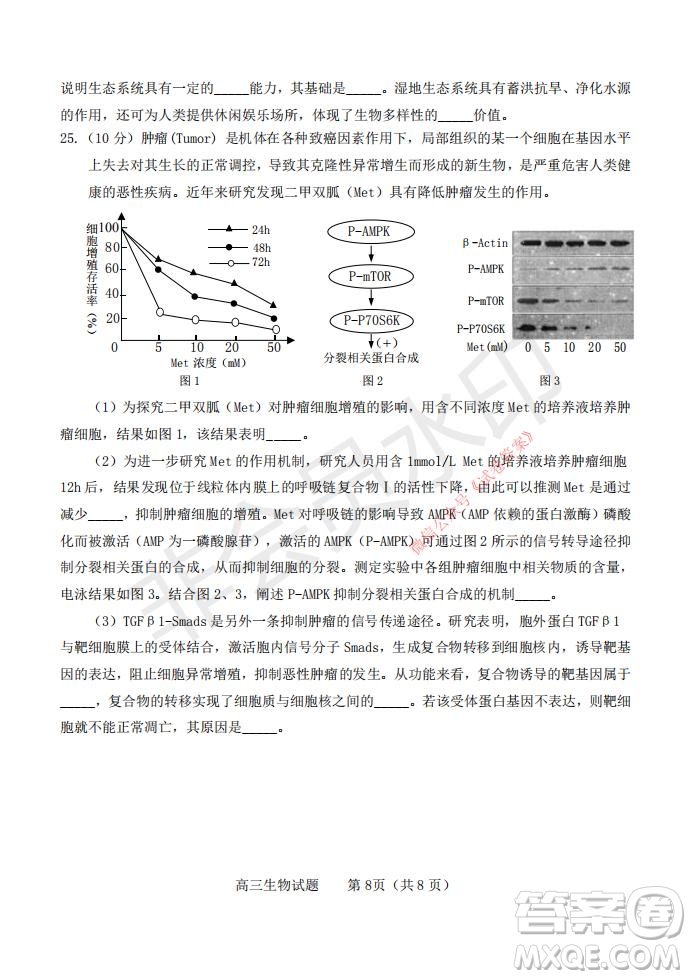 煙臺(tái)2020-2021學(xué)年度第一學(xué)期期末學(xué)業(yè)水平診斷高三生物試題及答案