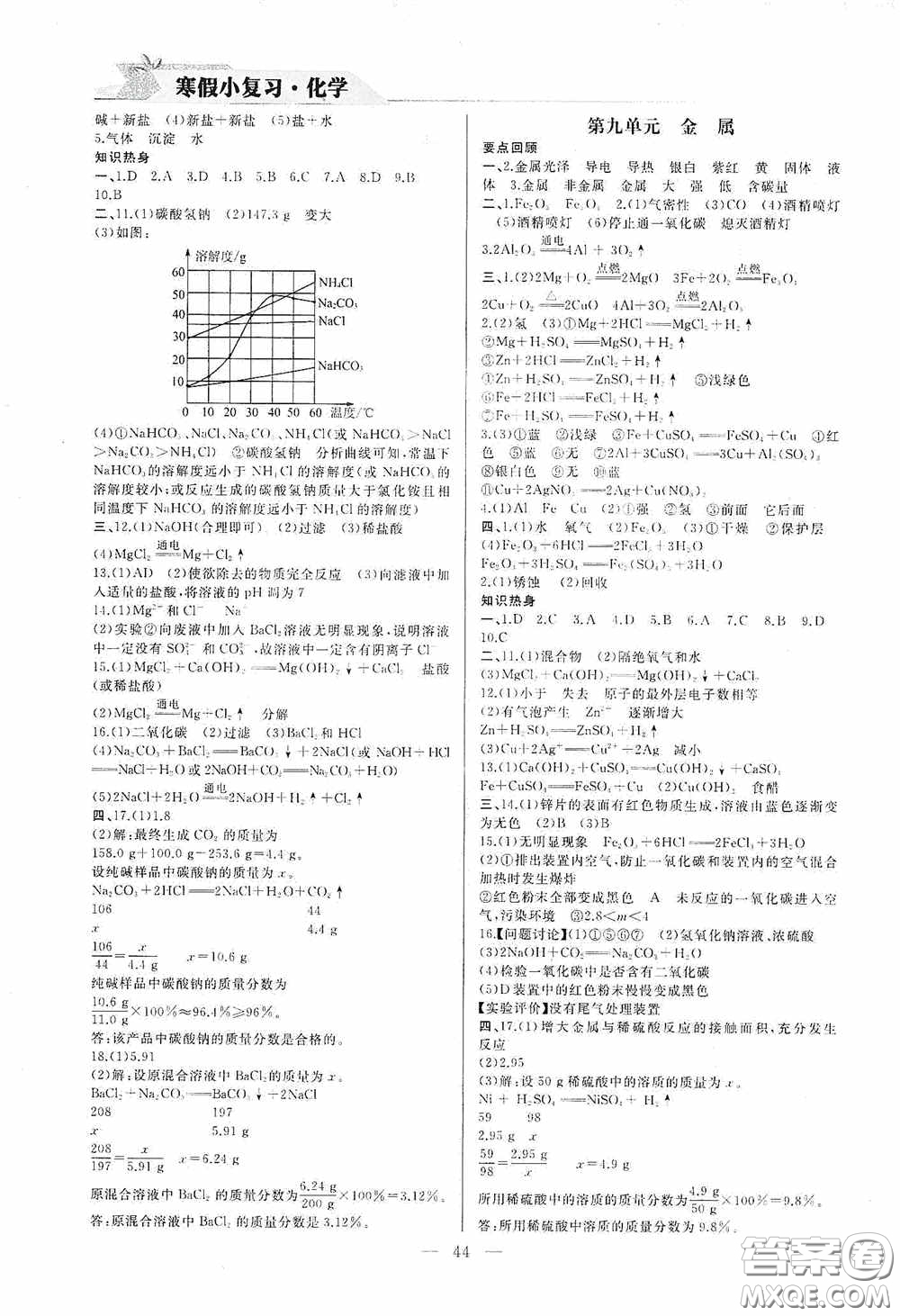 山東人民出版社2021寒假小復(fù)習(xí)九年級(jí)化學(xué)魯教版答案