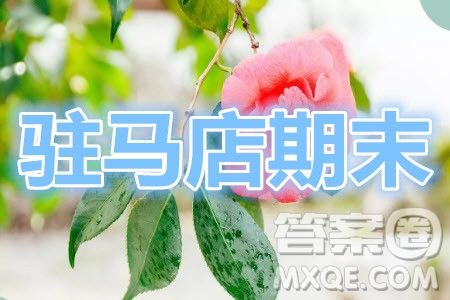 駐馬店市2020-2021學年度第一學期高三年級期末統(tǒng)一考試化學試題及答案