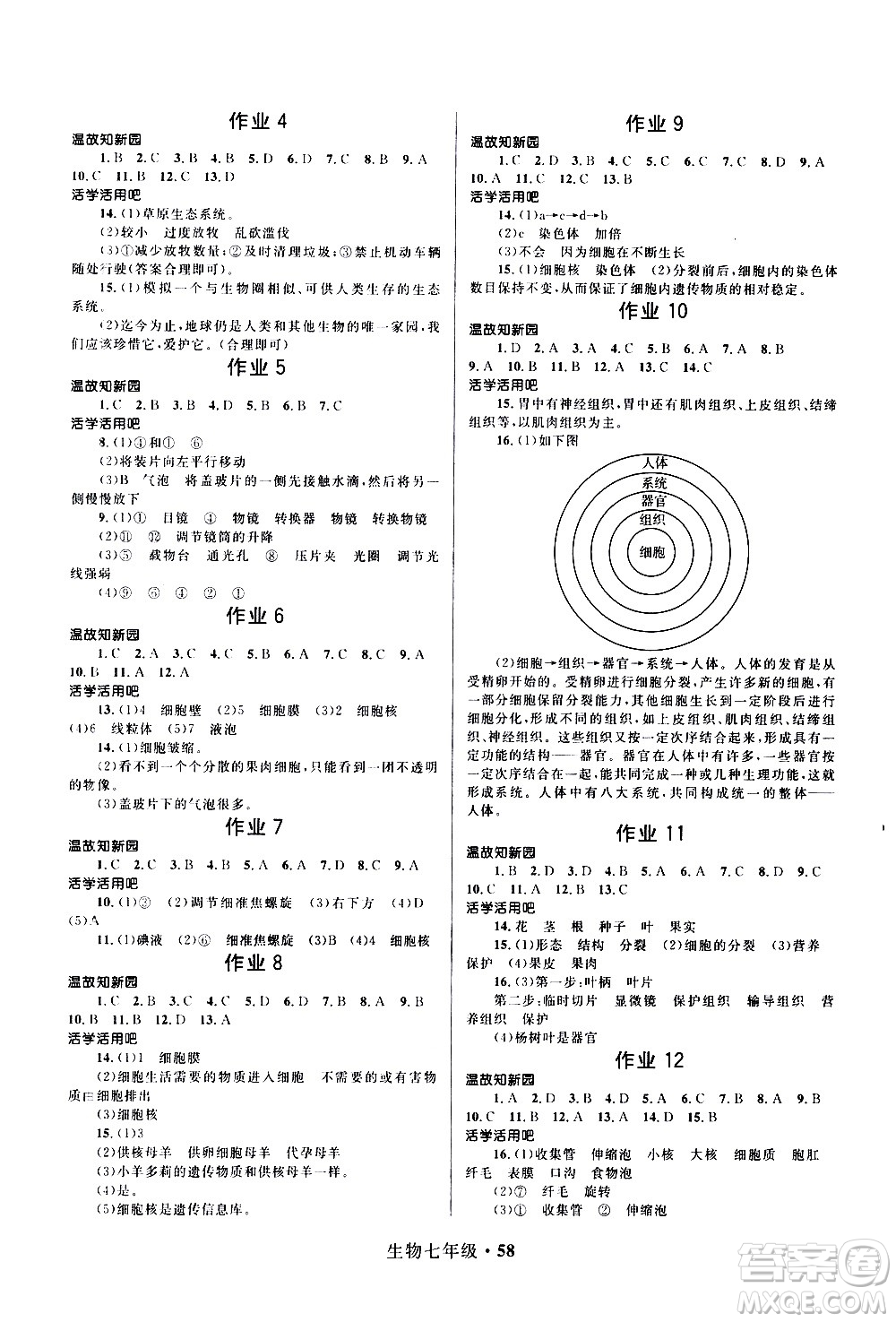 河北少年兒童出版社2021贏在起跑線中學(xué)生快樂寒假七年級生物人教版答案