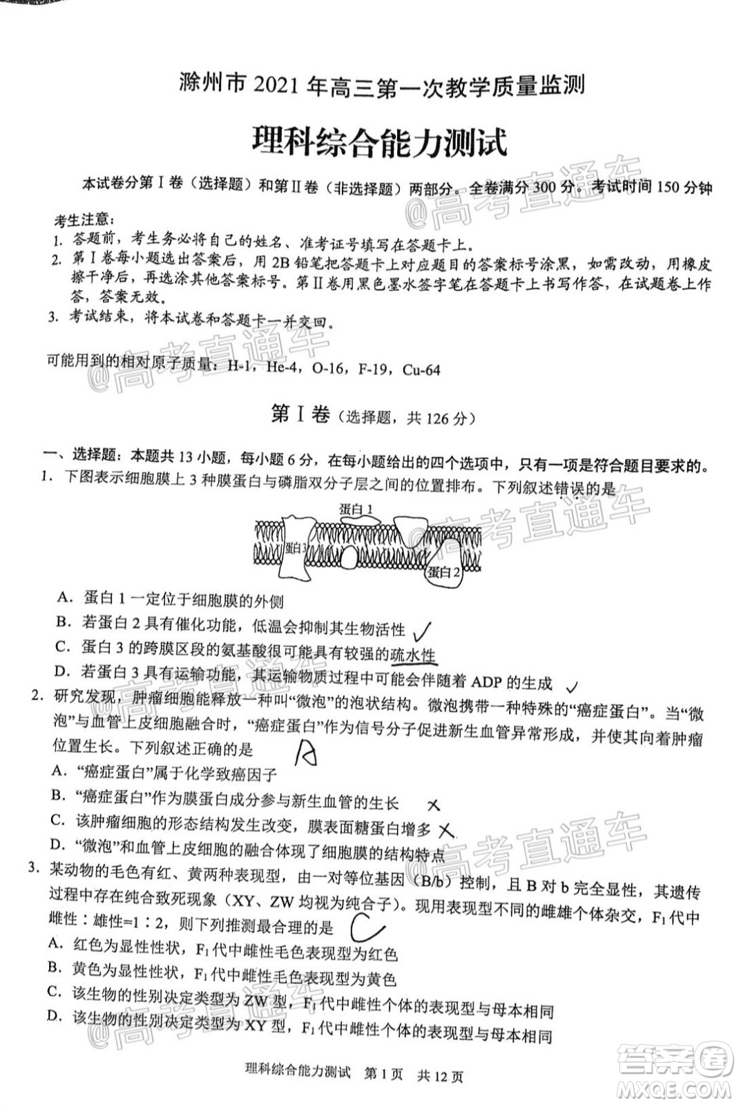 滁州市2021年高三第一次教學(xué)質(zhì)量監(jiān)測理科綜合試題及答案