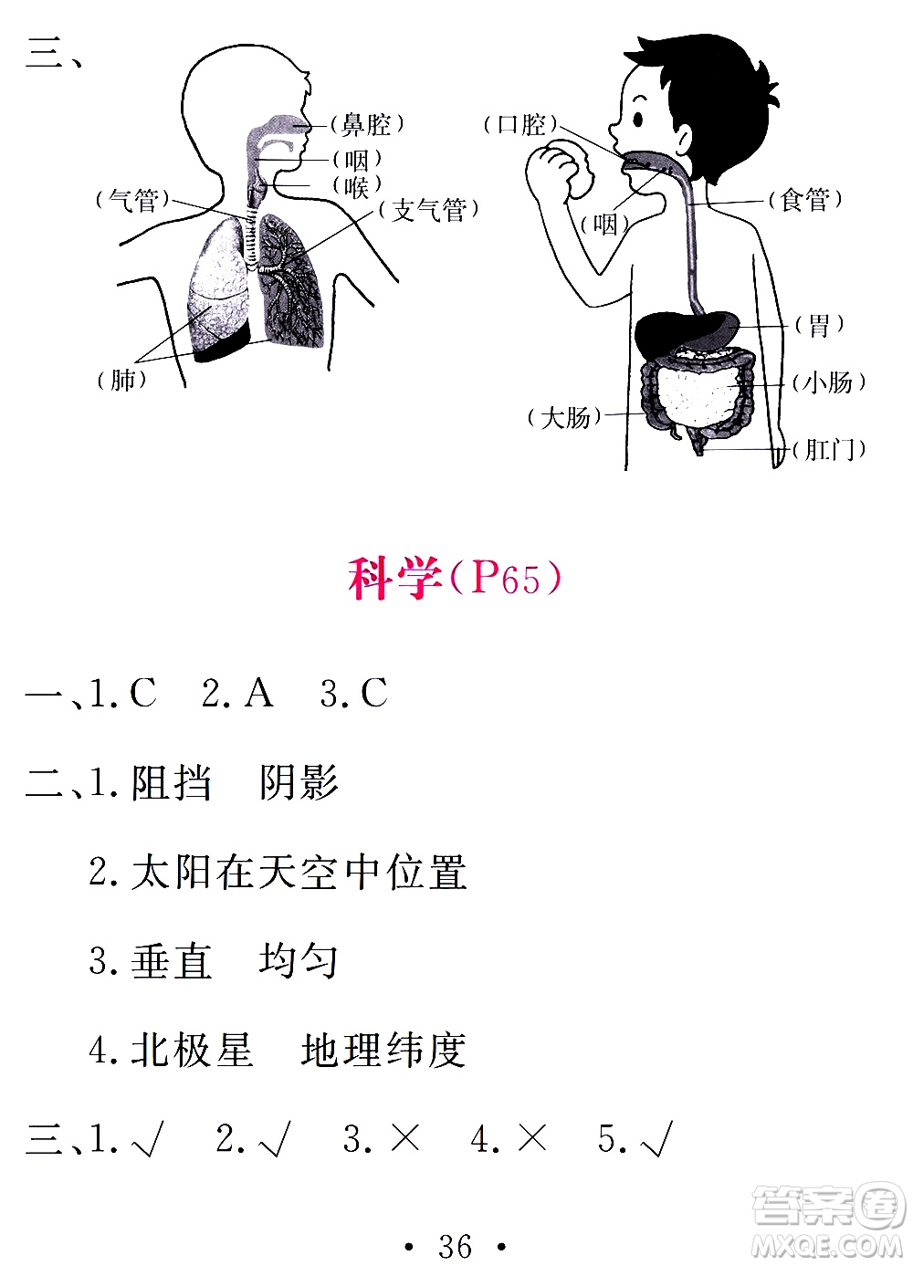 團結(jié)出版社2021天舟文化精彩寒假四年級答案