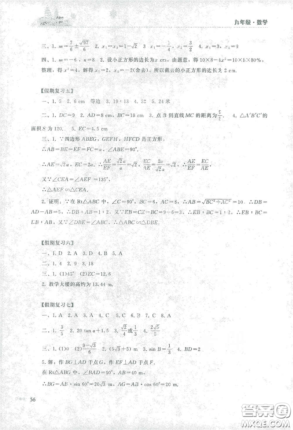 湖南教育出版社2021寒假作業(yè)九年級數(shù)學(xué)答案