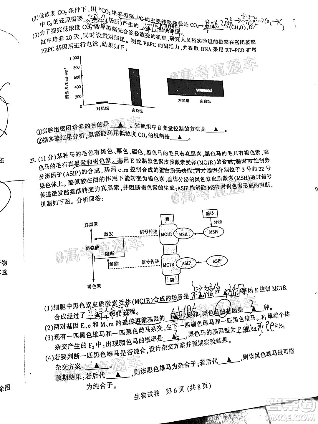 2021屆南通一模生物試題及答案