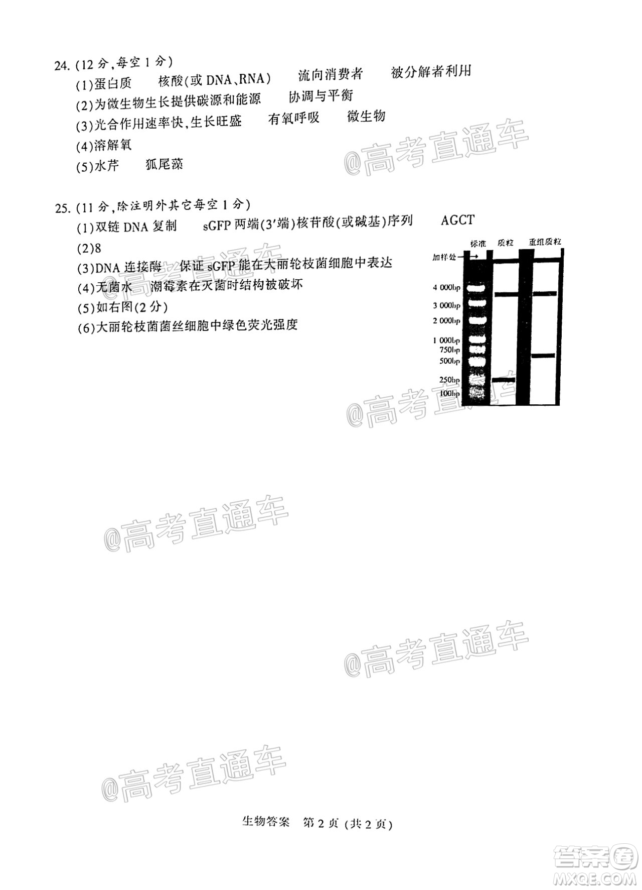 2021屆南通一模生物試題及答案