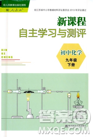 南京師范大學(xué)出版社2021年新課程自主學(xué)習(xí)與測(cè)評(píng)初中化學(xué)九年級(jí)下冊(cè)人教版答案