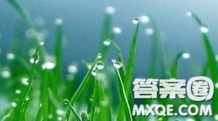 快樂的春雨作文500字 關于快樂的春雨的作文500字