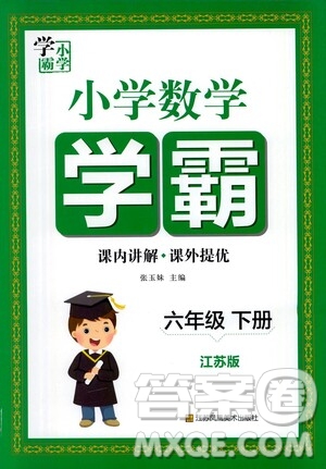 江蘇鳳凰美術(shù)出版社2021小學(xué)數(shù)學(xué)學(xué)霸六年級下冊江蘇版答案