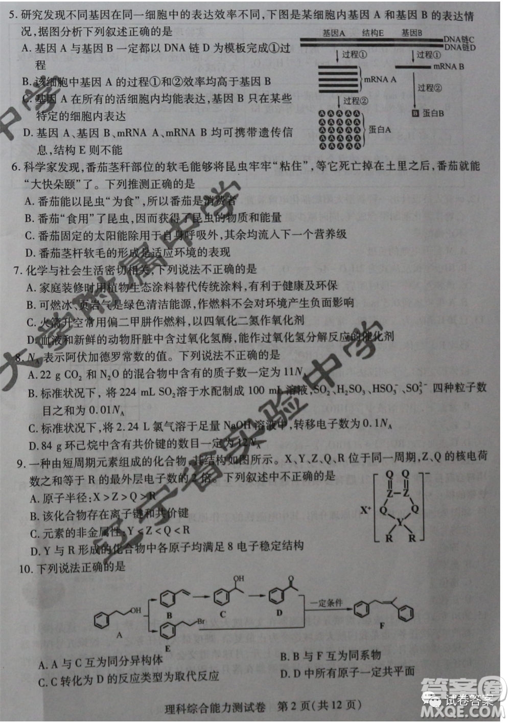 東北三省三校2021年高三第一次聯(lián)合模擬考試?yán)砜凭C合試題及答案