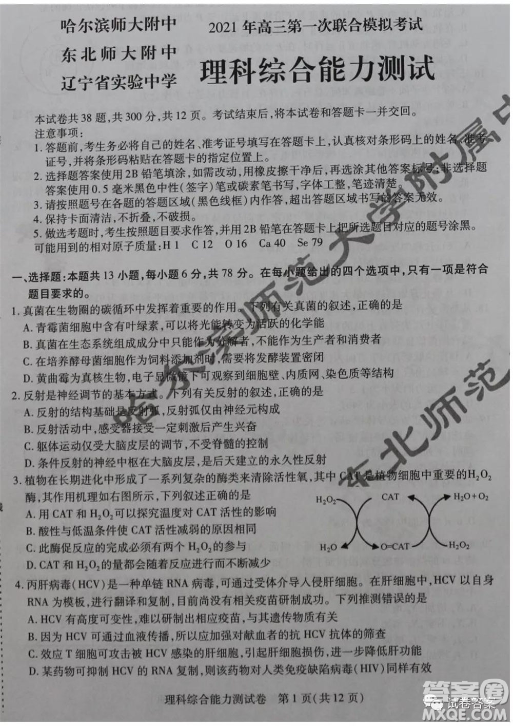 東北三省三校2021年高三第一次聯(lián)合模擬考試?yán)砜凭C合試題及答案