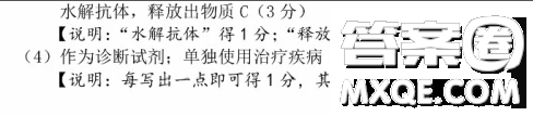 東北三省三校2021年高三第一次聯(lián)合模擬考試?yán)砜凭C合試題及答案