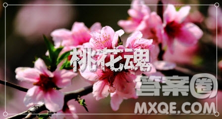 寫(xiě)桃花的作文800字 關(guān)于寫(xiě)桃花的作文800字