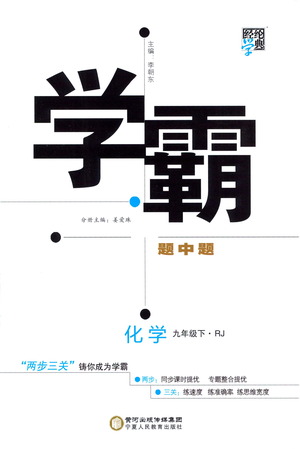 寧夏人民教育出版社2021學霸題中題化學九年級下冊人教版答案