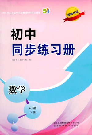 山東科學(xué)技術(shù)出版社2021初中同步練習(xí)冊數(shù)學(xué)六年級下冊魯教版答案