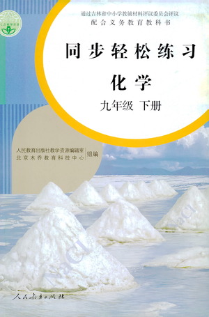 人民教育出版社2021同步輕松練習化學九年級下冊人教版答案