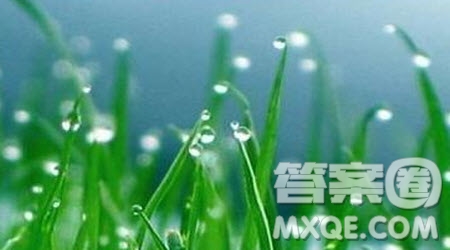 雨中相關作文600字 寫雨中的相關作文600字