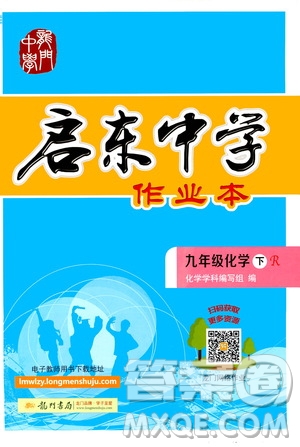 龍門書局2021啟東中學(xué)作業(yè)本九年級(jí)化學(xué)下冊(cè)R人教版答案