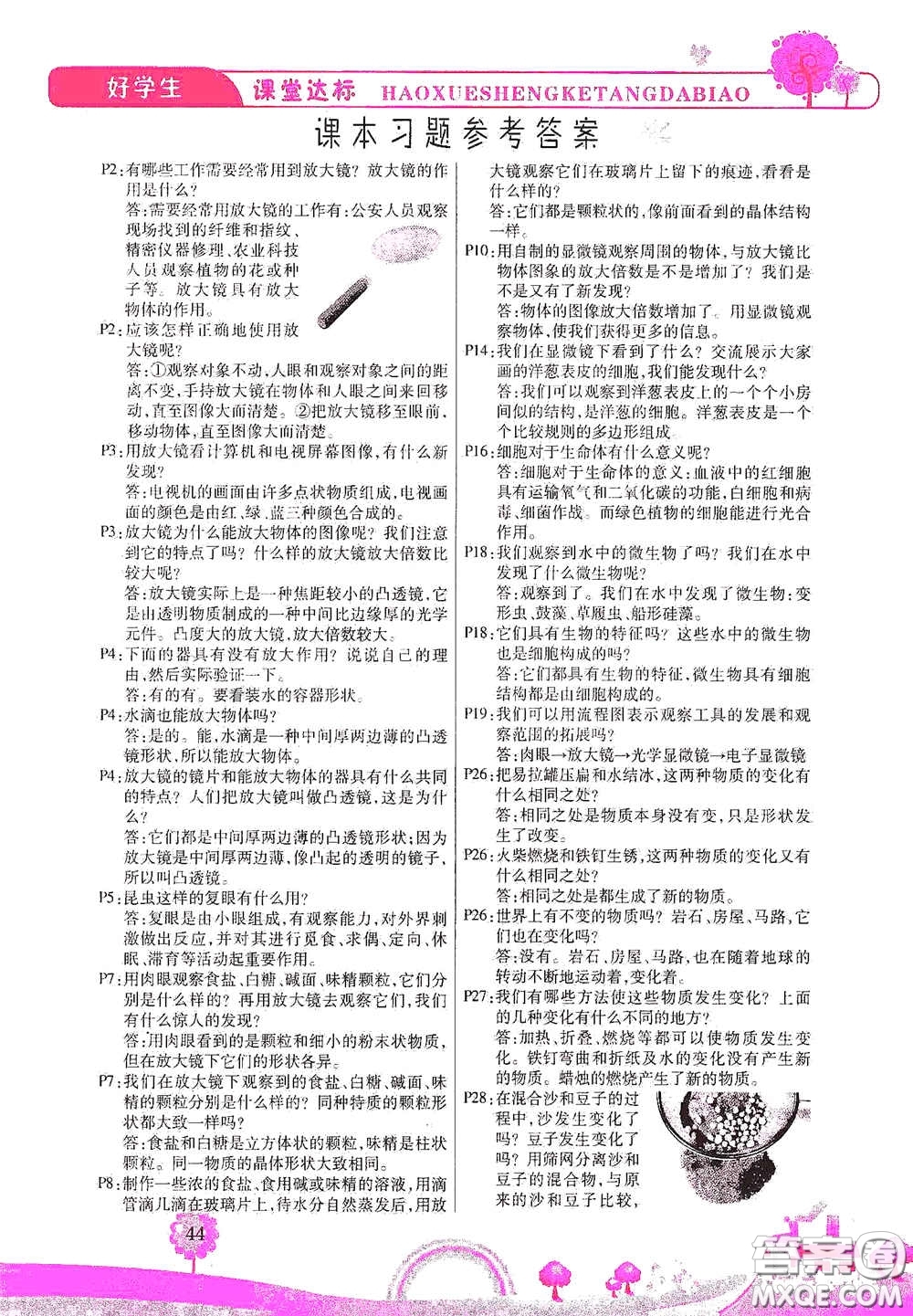 河北少年兒童出版社2021好學(xué)生課堂達標(biāo)六年級科學(xué)下冊JK版答案