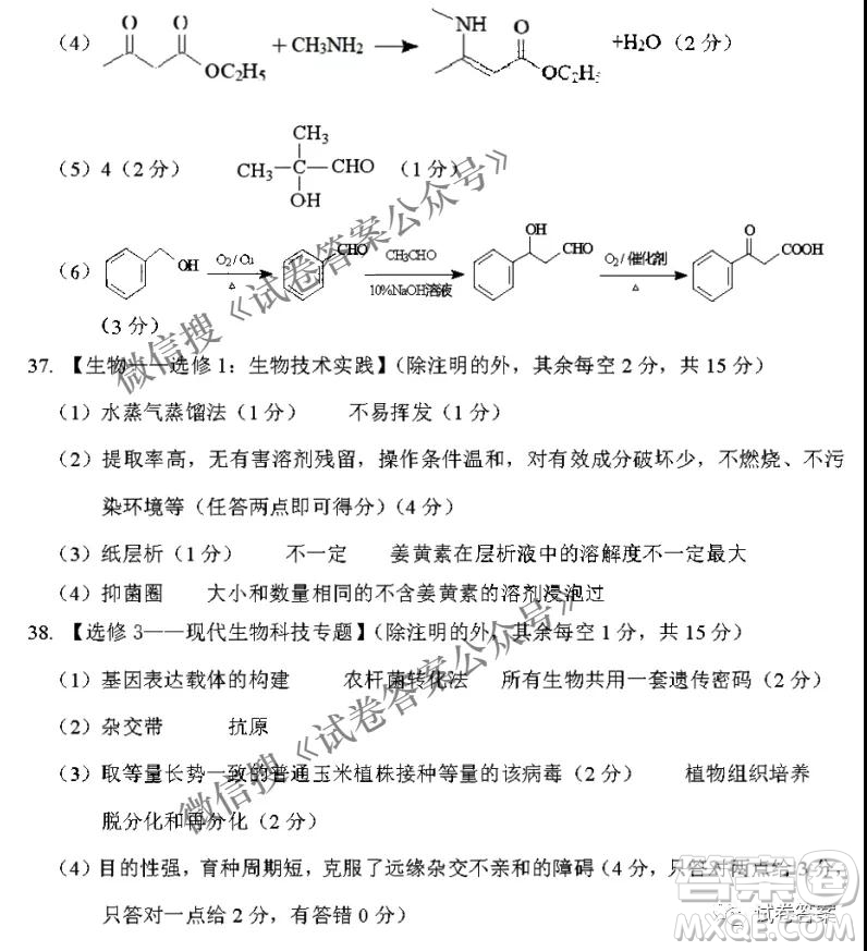 2021年甘肅省第一次高考診斷考試?yán)砜凭C合答案