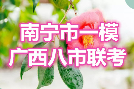 南寧市2021屆高中畢業(yè)班第一次適應(yīng)性測試語文試卷及答案