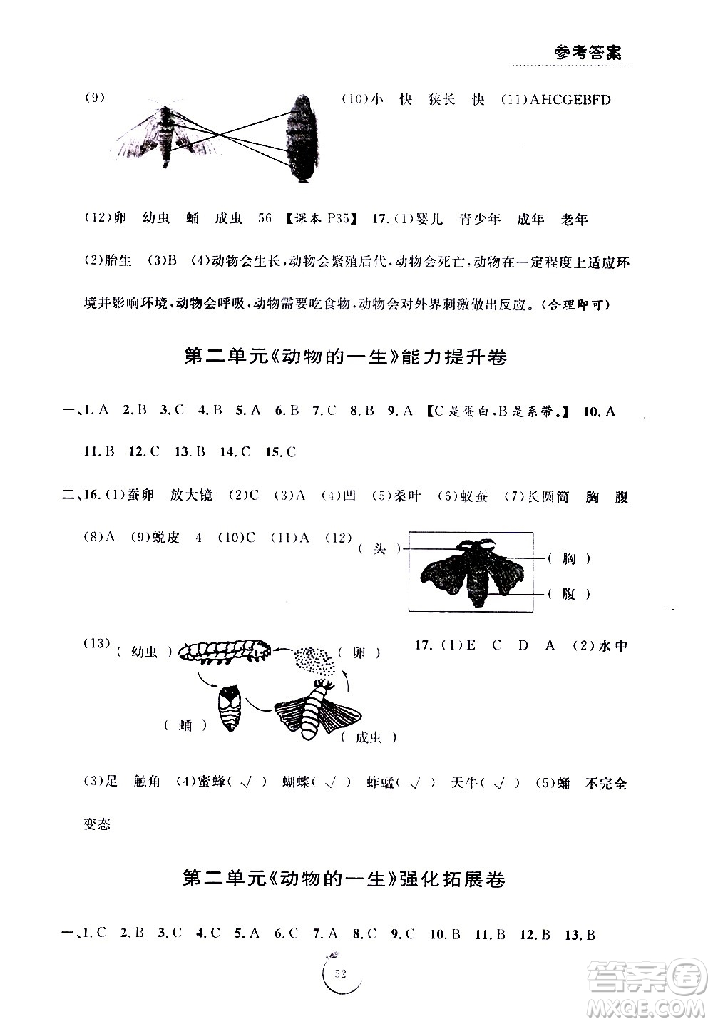 寧波出版社2021浙江好卷科學(xué)三年級下冊JK教科版答案