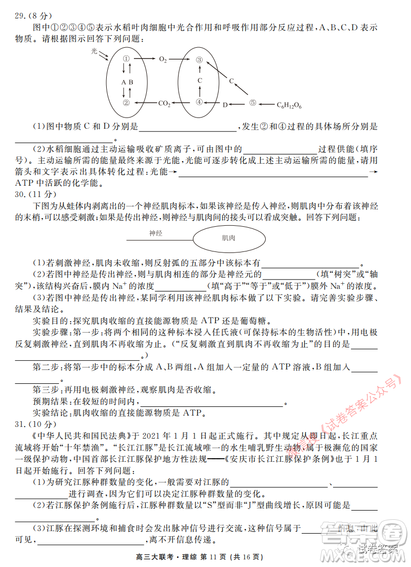 2021屆四省名校高三第三次大聯(lián)考理綜試題及答案