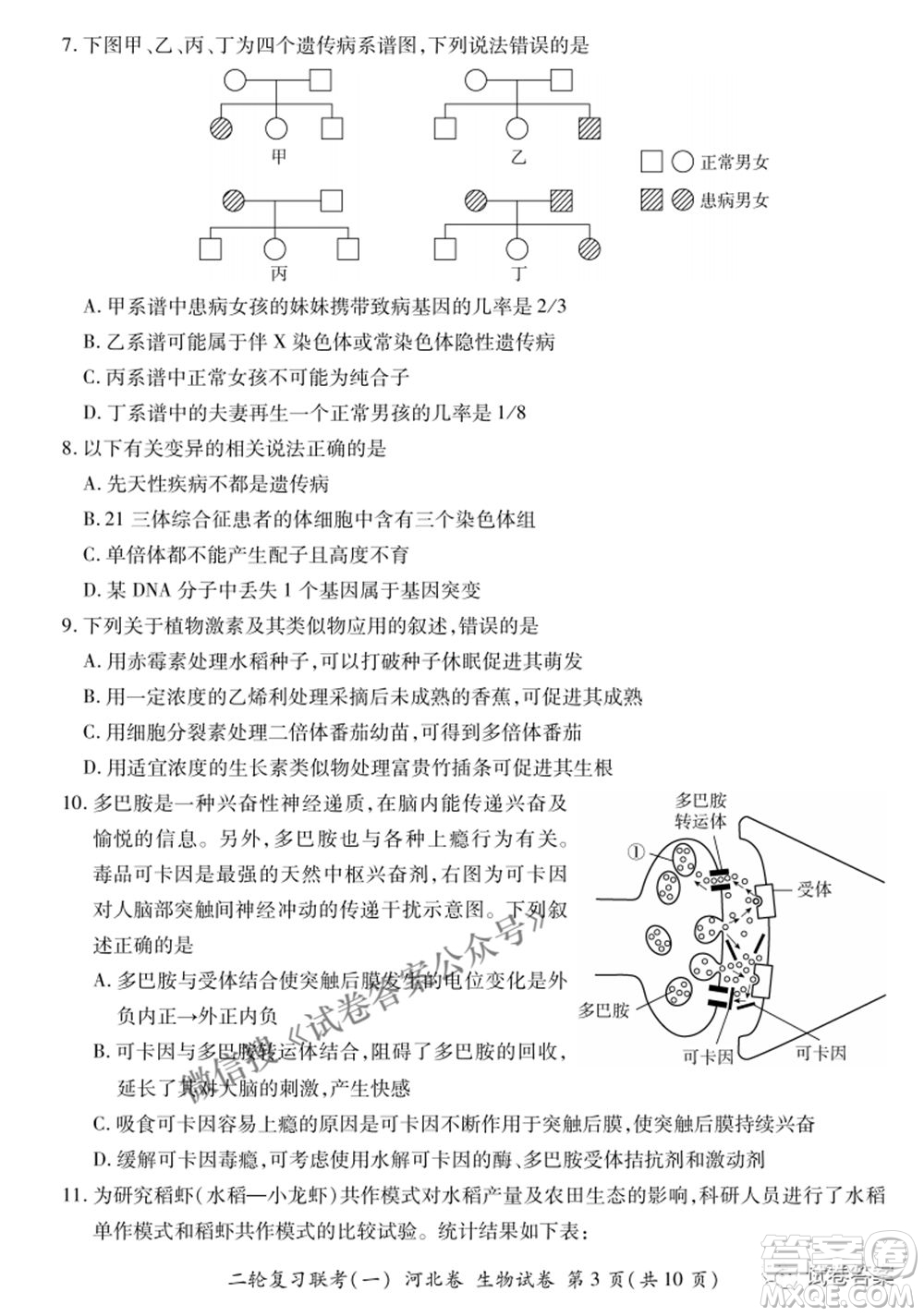 百師聯(lián)盟2021屆高三二輪復習聯(lián)考一新河北卷生物試卷及答案