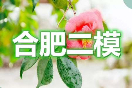 合肥市2021年高三第二次教學(xué)質(zhì)量檢測(cè)文科數(shù)學(xué)試題及答案