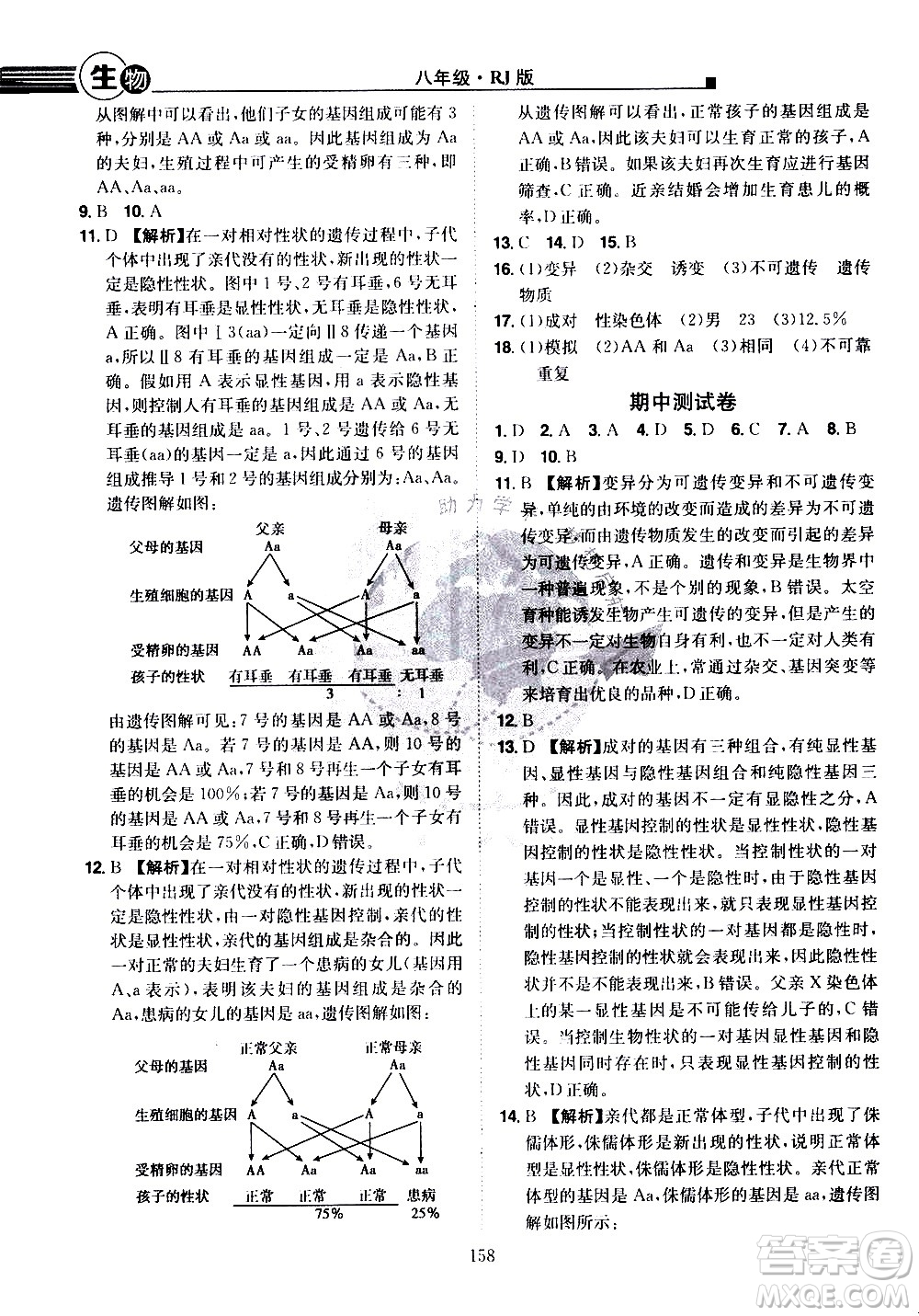 江西美術(shù)出版社2021學海風暴生物八年級下冊RJ人教版答案