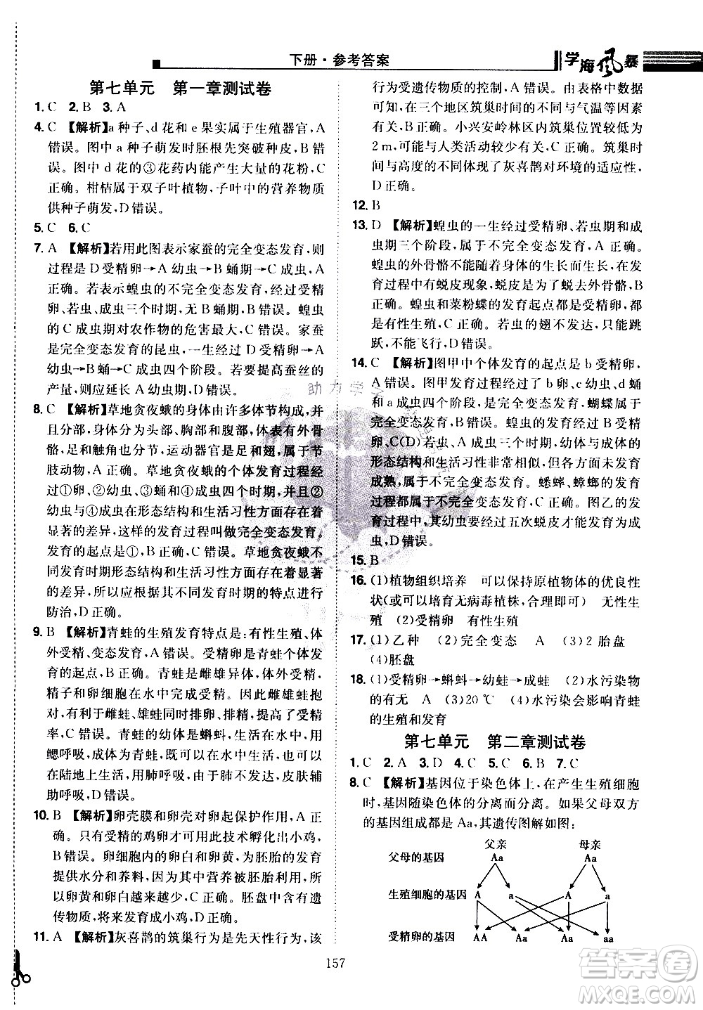 江西美術(shù)出版社2021學海風暴生物八年級下冊RJ人教版答案